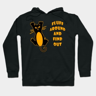 Fluff Around And Find Out Funny Cat Lover Hoodie